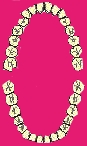 wpe5.jpg (3487 byte)