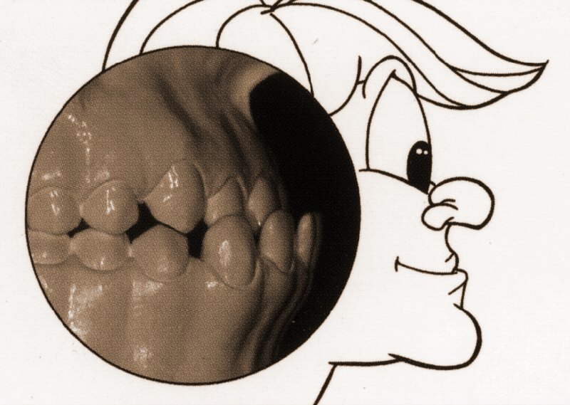 mascell4x.JPG (94271 byte)