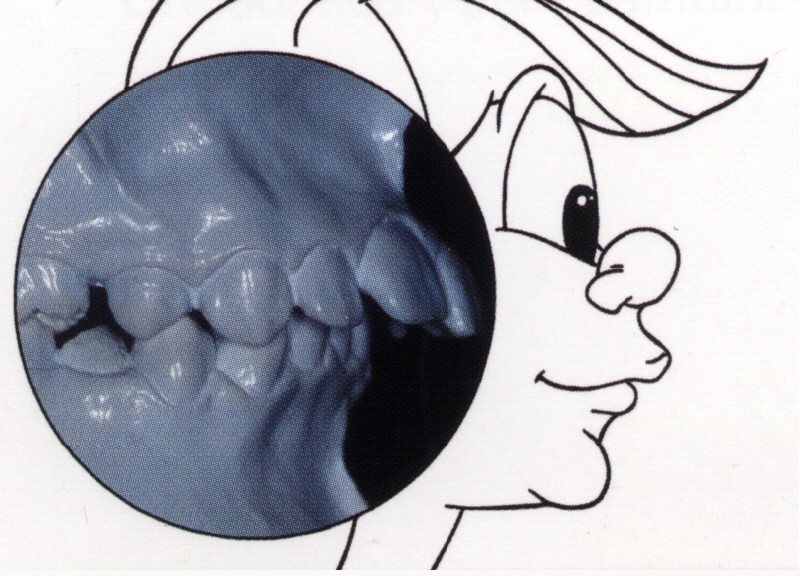 mascell5.jpg (110994 byte)