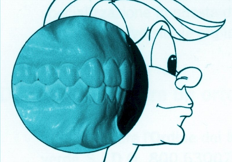 mascell6x.JPG (114305 byte)