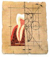 emslogo.jpg (6129 byte)
