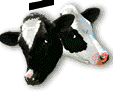 tucowssetup4.gif (4282 byte)